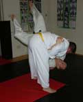 Hip Throw