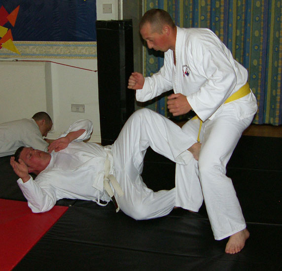Recumbant Ankle Throw