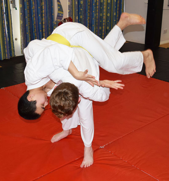 Hip Throw